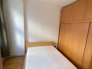 Pronájem bytu 2+1, Praha - Žižkov, Zelenky-Hajského, 53 m2