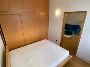 Pronájem bytu 2+1, Praha - Žižkov, Zelenky-Hajského, 53 m2