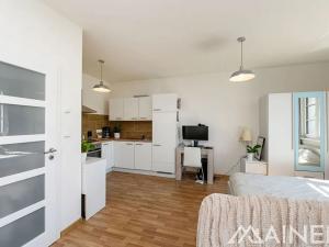 Pronájem bytu 2+kk, Plzeň, V Malé Doubravce, 55 m2