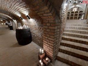 Prodej vícegeneračního domu, Dolní Bojanovice, Vinařská, 367 m2