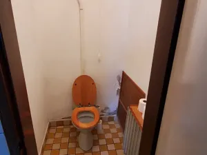 Prodej chalupy, Miletín, Horka, 200 m2