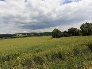 Pronájem bytu 1+kk, Uhlířské Janovice, Hrnčířská, 32 m2