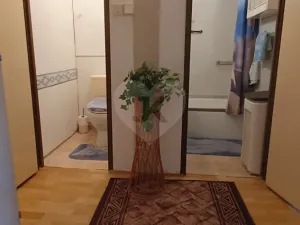 Prodej bytu 2+kk, Teplice, Arbesova, 47 m2