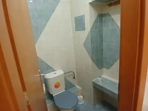 Prodej bytu 1+1, Cheb, Písečná, 46 m2