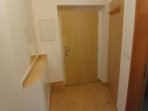 Prodej bytu 1+1, Cheb, Písečná, 46 m2