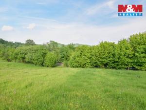 Prodej chalupy, Starý Šachov, 100 m2
