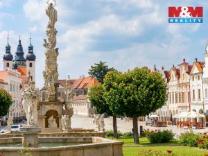 Prodej rodinného domu, Telč - Telč-Vnitřní Město, náměstí Zachariáše z Hradce, 300 m2