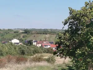 Prodej zahrady, Velké Pavlovice, 449 m2