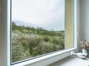 Prodej bytu 3+1, Ústí nad Labem - Severní Terasa, Brandtova, 80 m2