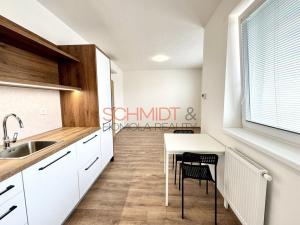 Pronájem bytu 1+kk, Hustopeče, Alejní, 30 m2