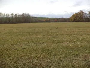 Dražba louky, Ždírec, 26461 m2