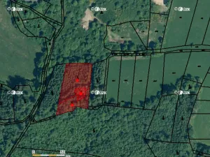 Prodej lesa, Kolinec, 5322 m2
