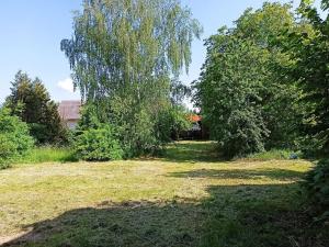 Prodej zemědělské usedlosti, Vykáň, 450 m2