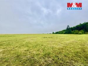 Prodej louky, Buková, 13470 m2