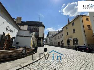 Pronájem bytu 1+1, Olomouc, Zámečnická, 30 m2