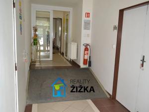Pronájem výrobních prostor, Hrušovany u Brna, U Výzkumu, 200 m2