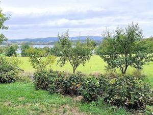 Prodej chaty, Cheb, 55 m2