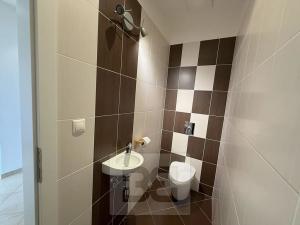 Pronájem bytu 2+kk, Praha - Holešovice, Jankovcova, 50 m2