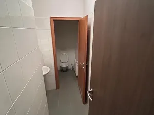 Pronájem bytu 1+kk, Hlušovice, Okružní, 30 m2