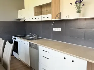 Pronájem bytu 2+1, Liberec, Aloisina výšina, 54 m2