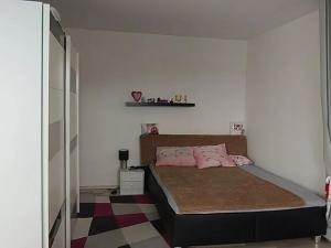 Pronájem bytu 1+kk, Stráž, 42 m2