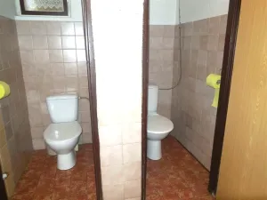 Prodej komerční nemovitosti, Valašské Klobouky, 467 m2