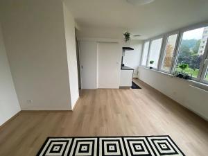 Prodej bytu 1+kk, Praha - Karlín, Nekvasilova, 30 m2