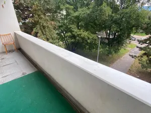 Prodej bytu 1+kk, Praha - Karlín, Nekvasilova, 30 m2