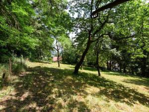 Prodej zahrady, Stříbrná Skalice, osada Spálený, 1015 m2
