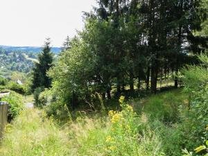 Prodej zahrady, Stříbrná Skalice, osada Spálený, 1015 m2