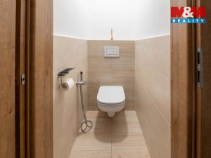 Prodej rodinného domu, Březnice, 260 m2