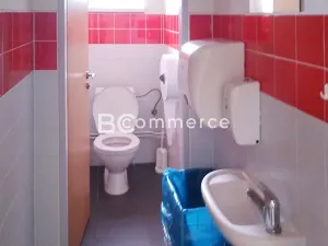 Pronájem kanceláře, Brno, 38 m2