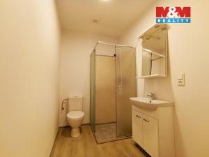 Pronájem bytu 1+kk, Rostoklaty - Nová Ves II, 22 m2