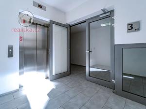 Prodej bytu 2+kk, Praha - Žižkov, Havlíčkovo náměstí, 60 m2