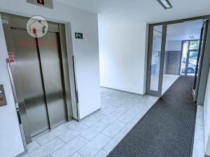 Prodej bytu 2+kk, Praha - Žižkov, Havlíčkovo náměstí, 60 m2