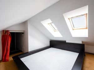 Pronájem bytu 2+kk, Pardubice - Bílé Předměstí, Husova, 79 m2