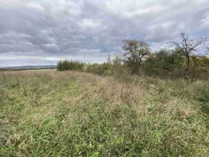 Prodej pozemku, Javorník - Horní Hoštice, 1691 m2