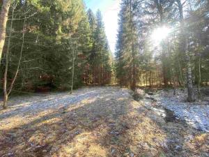 Prodej pozemku, Čachrov - Javorná, 12768 m2