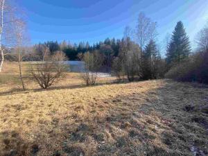 Prodej pozemku, Čachrov - Javorná, 12768 m2