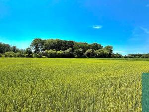 Prodej pozemku pro bydlení, Chropyně, 1061 m2