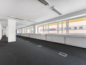 Pronájem kanceláře, Praha - Libeň, Podvinný mlýn, 6000 m2