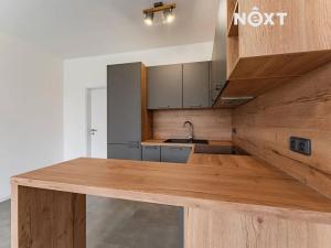 Pronájem bytu 1+kk, Olomouc, Aloise Rašína, 28 m2