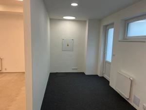 Pronájem obchodního prostoru, Brno, Bratislavská, 235 m2