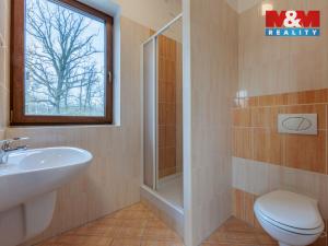 Prodej rodinného domu, Nová Role - Mezirolí, 376 m2