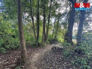 Prodej zahrady, Strážov, 981 m2
