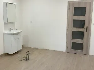 Pronájem komerční nemovitosti, Hořátev, 22 m2