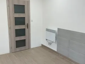 Pronájem komerční nemovitosti, Hořátev, 22 m2