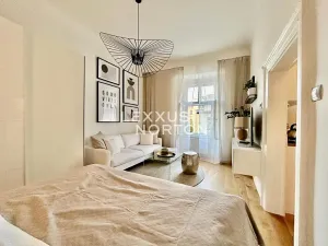 Pronájem bytu 1+1, Praha - Staré Město, Jakubská, 37 m2