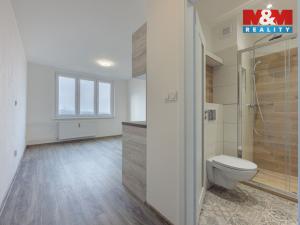 Pronájem bytu 1+kk, Sokolov, Švabinského, 21 m2