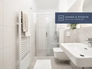 Pronájem bytu 1+kk, Brno, Francouzská, 27 m2